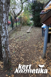 Kitisztított előkert (1)